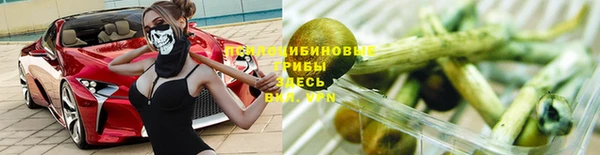 ГАЛЛЮЦИНОГЕННЫЕ ГРИБЫ Балабаново