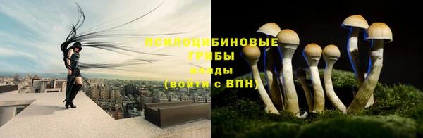 марки lsd Балахна