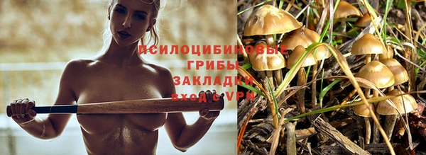 марки lsd Балахна