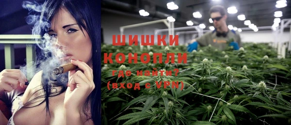 ГАЛЛЮЦИНОГЕННЫЕ ГРИБЫ Балабаново
