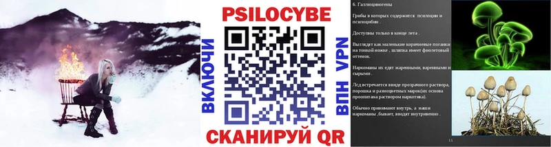 Псилоцибиновые грибы Psilocybe что такое наркотик гидра зеркало Пересвет